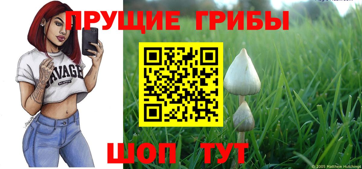 Галлюциногенные грибы мухоморы Сегежа