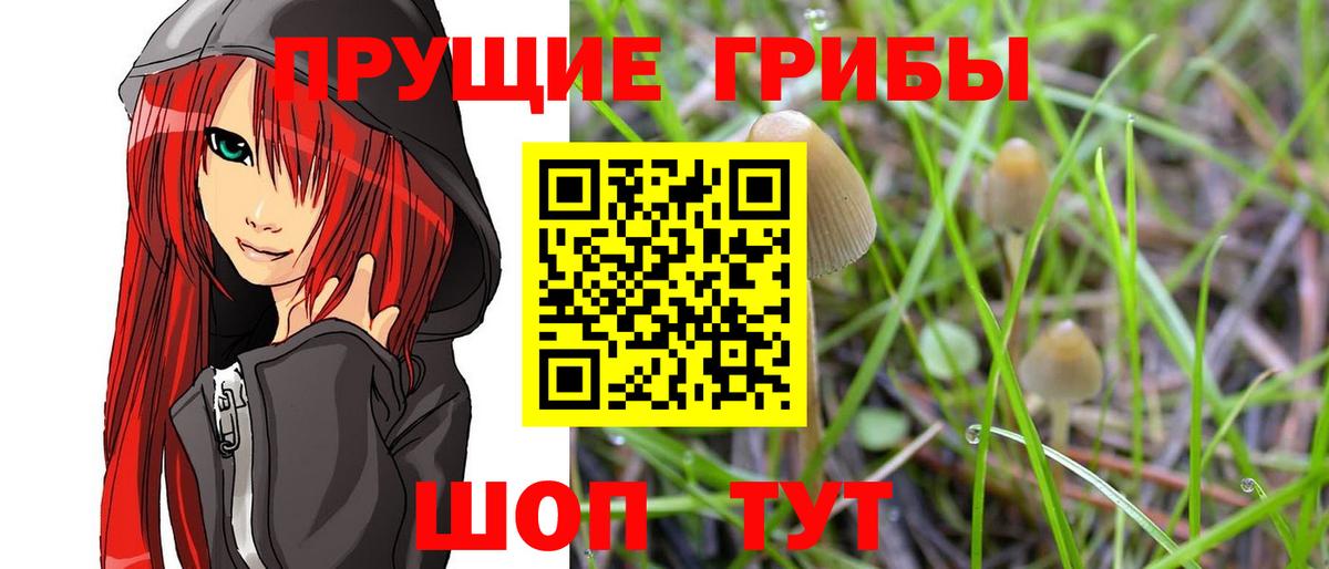 Галлюциногенные грибы MAGIC MUSHROOMS  Вход с VPN  Сегежа  Галлюциногенные грибы Psilocybe 
